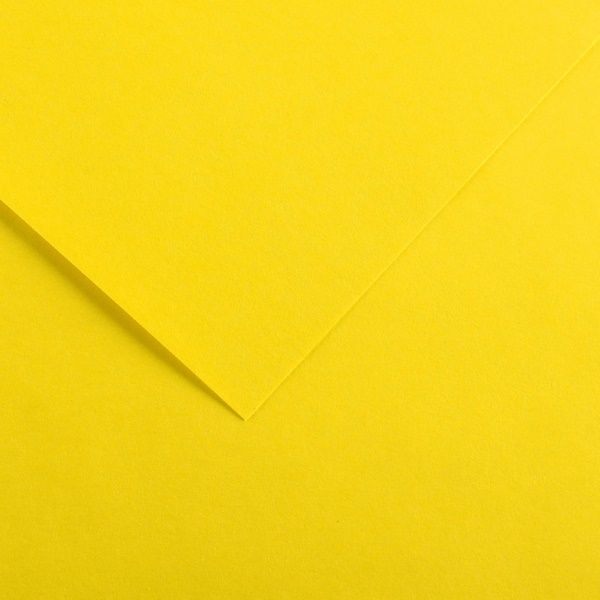 Papel Vivaldi 185g 50x65 Ref.C200040221 A...