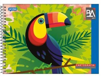 Caderno Espiral CF 96F Cartog Univ Basic ...