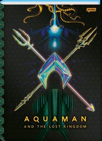 Caderno Espiral CD 160F 10 Mat Aquaman